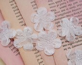 White Lace Blossoms