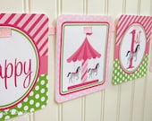 Whimsical Merry-Go-Round - Pink Carousel - Happy Birthday Banner