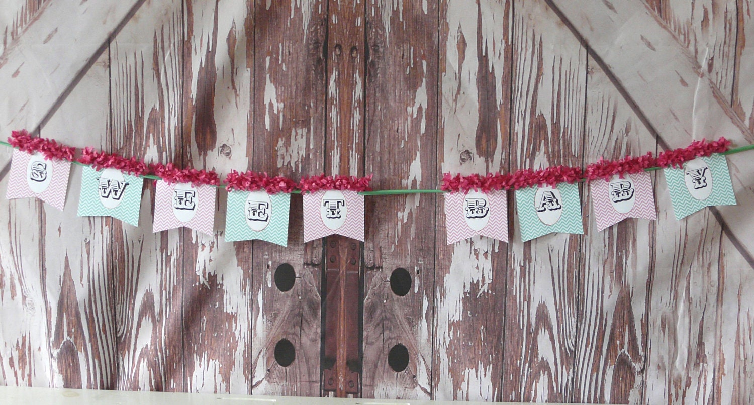 Sweet Baby Banner, new baby shower, Birthday boy,girl, twins ready to ship vintage inspired party decoration