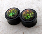 Double Flare Plugs - Black Acrylic Plugs - Magic Bubbles - 1/2" 9/16" - Rainbow Color Changing Glitter Plugs