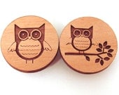 Owl Magnets - Engraved Wood - Set of 4