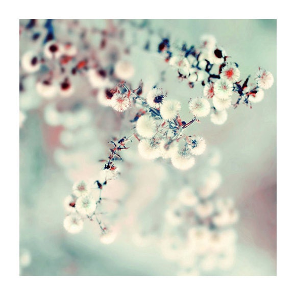 Ethereal Nature Photography, Midwinter Daydream, 8x8 Print, Winter Photo, Mint Green, Natural Light - ellemoss