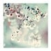 Ethereal Nature Photography, Midwinter Daydream, 8x8 Print, Winter Photo, Mint Green, Natural Light