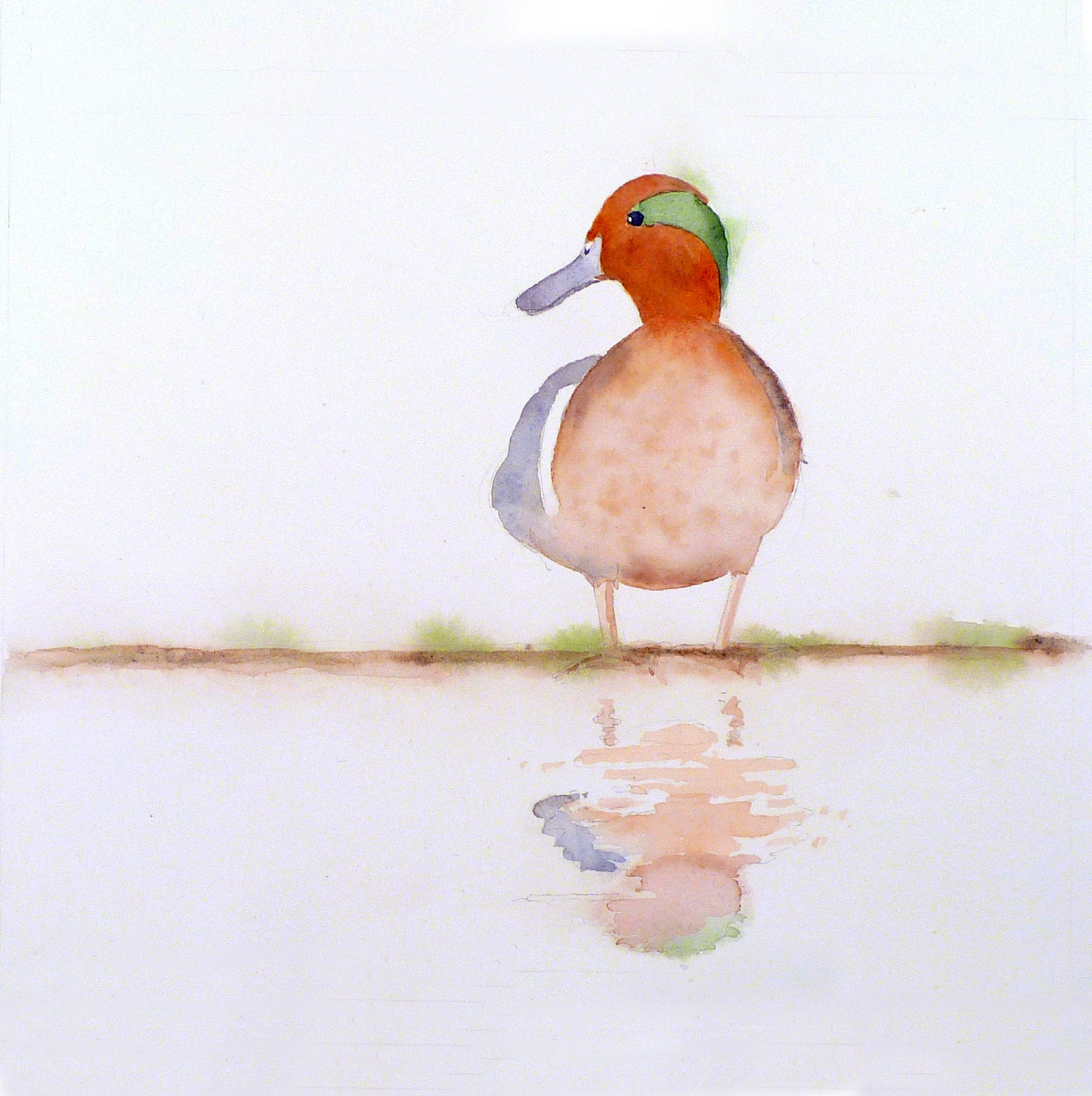 Bird Art - Original Watercolor Painting - Cinnamon Brown Duck, Mallard Duck, Apartment, Dorm, Woodlands, Garden - Women Kids - 7.6 x 9.6