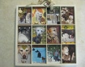 Large Custom Collage Framing Featuring Your Pet(s) 12x12 to 11x16
