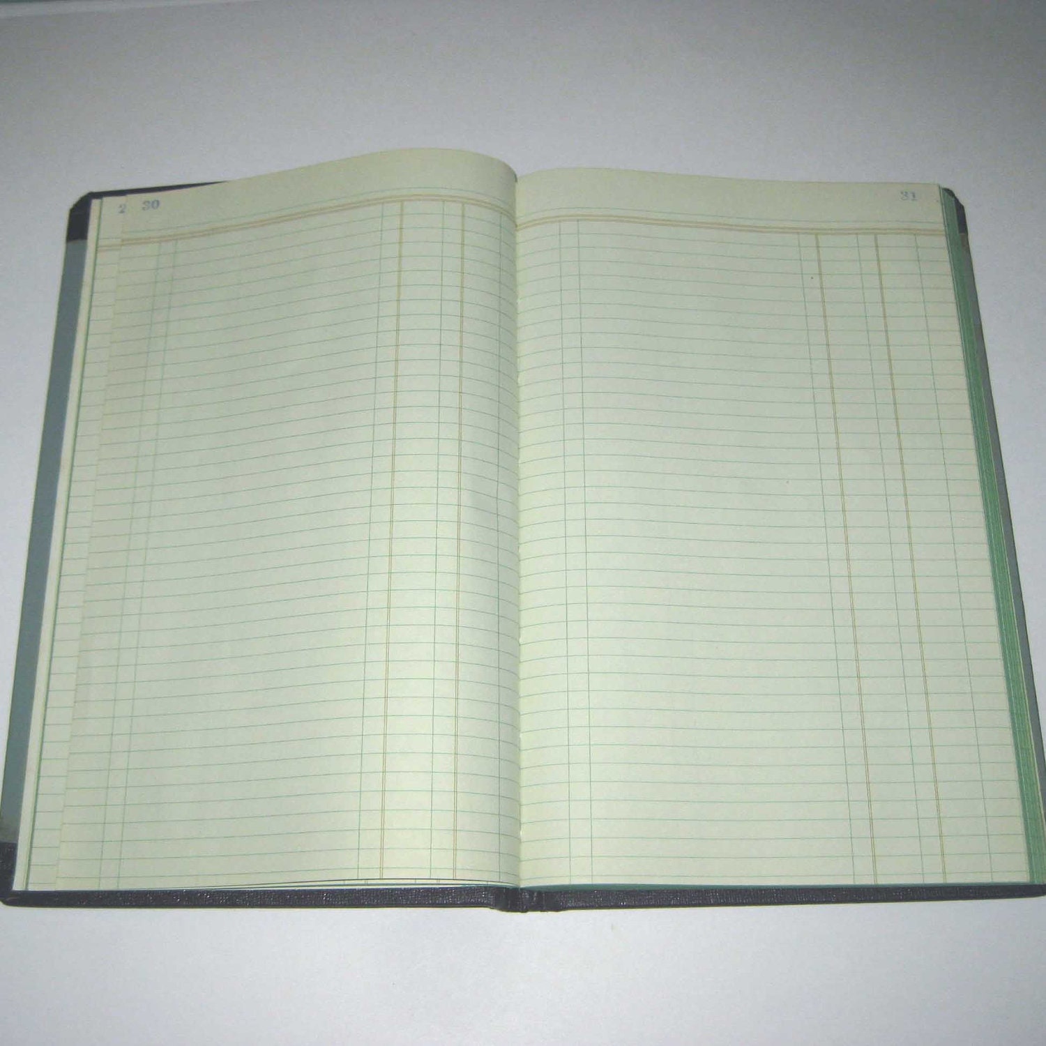 Blank Accounting Ledger