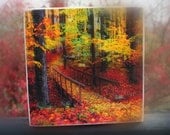 Autumn footbridge, 4x4 wood cradled birch panel, nature photograph, autumn art, tree art, gift under 25