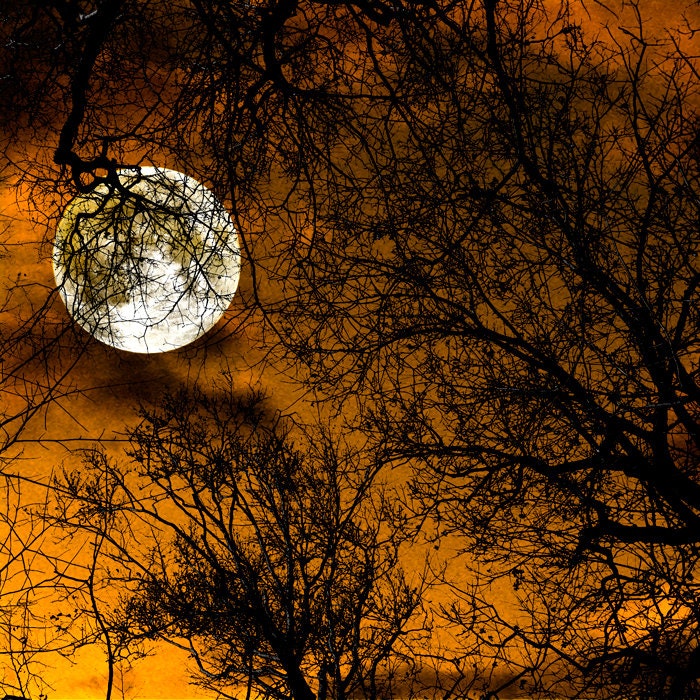 Nature photo, moon photography, full moon, harvest moon, autumn, pumpkin orange, surreal, night sky, spooky  - Selene 8x8