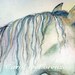 Watercolor Painting 8x10 Horse Art, Horse Painting, Horse Watercolor, Equine Art, Print Art Titled A Horse Named Shalimara
