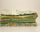 fresh-squeezed fabric scrap set--17 oz--2.83 yards approx.