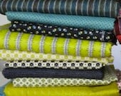 Chicopee by Denyse Schmidt, Half Yard Set in Relish