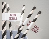 GIG Em - Texas A & M University Paper Drink Straw Flags- Set of 12