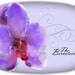 Personalized  Orchid Wedding or Hostess Melamine  Dinnerware Platter  Love in the Afternoon  By Rosanna Hope For Babybonbons