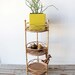 Bamboo Plant Stand