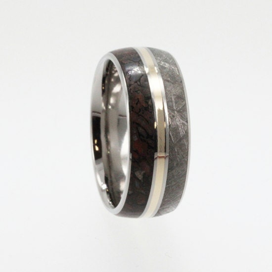 Meteorite Wedding Band / Titanium Ring inlaid with Meteorite Dinosaur Bone and 14K Yellow Gold
