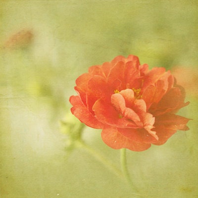 Go 8x8 Print