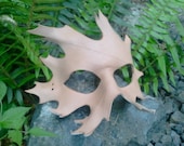 Unfinished Leather oak Leaf Mask