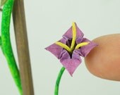 Climbing Vine with Purple Flowers on Rock
