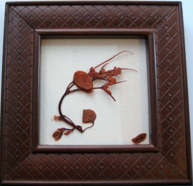 Handmade Pressed Flower Picture Brown Carved Wood Frame with Brown Wild Vine