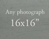 Any Single 16 x 16 Print