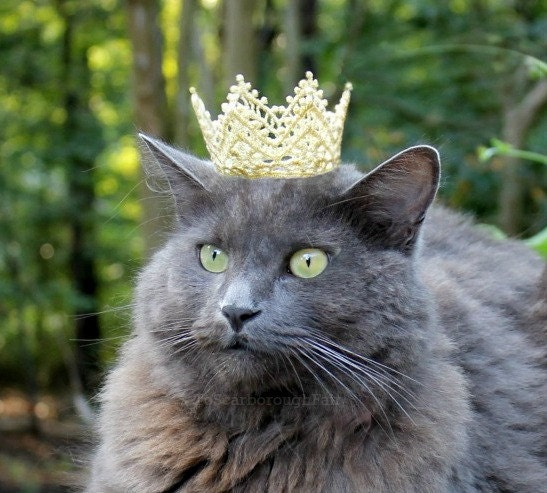 Royal Cat Crown - Halloween Cat Crown - ToScarboroughFair