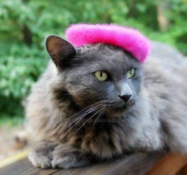 French Cat Beret - Wool Felted Pink Flambe Beret