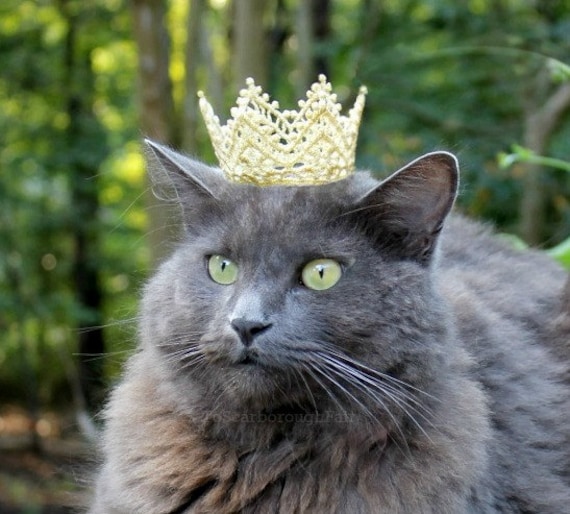 Royal Cat Crown - Halloween Cat Crown