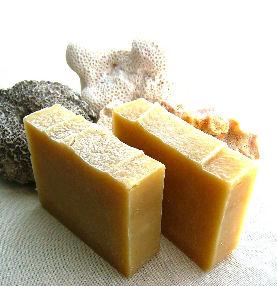 Aloe Shampoo Bar with Lavender, Rosemary, and Mint - Vegan Shampoo Bar - Solid Shampoo - SLS Free - Palm Oil free - Plastic Free