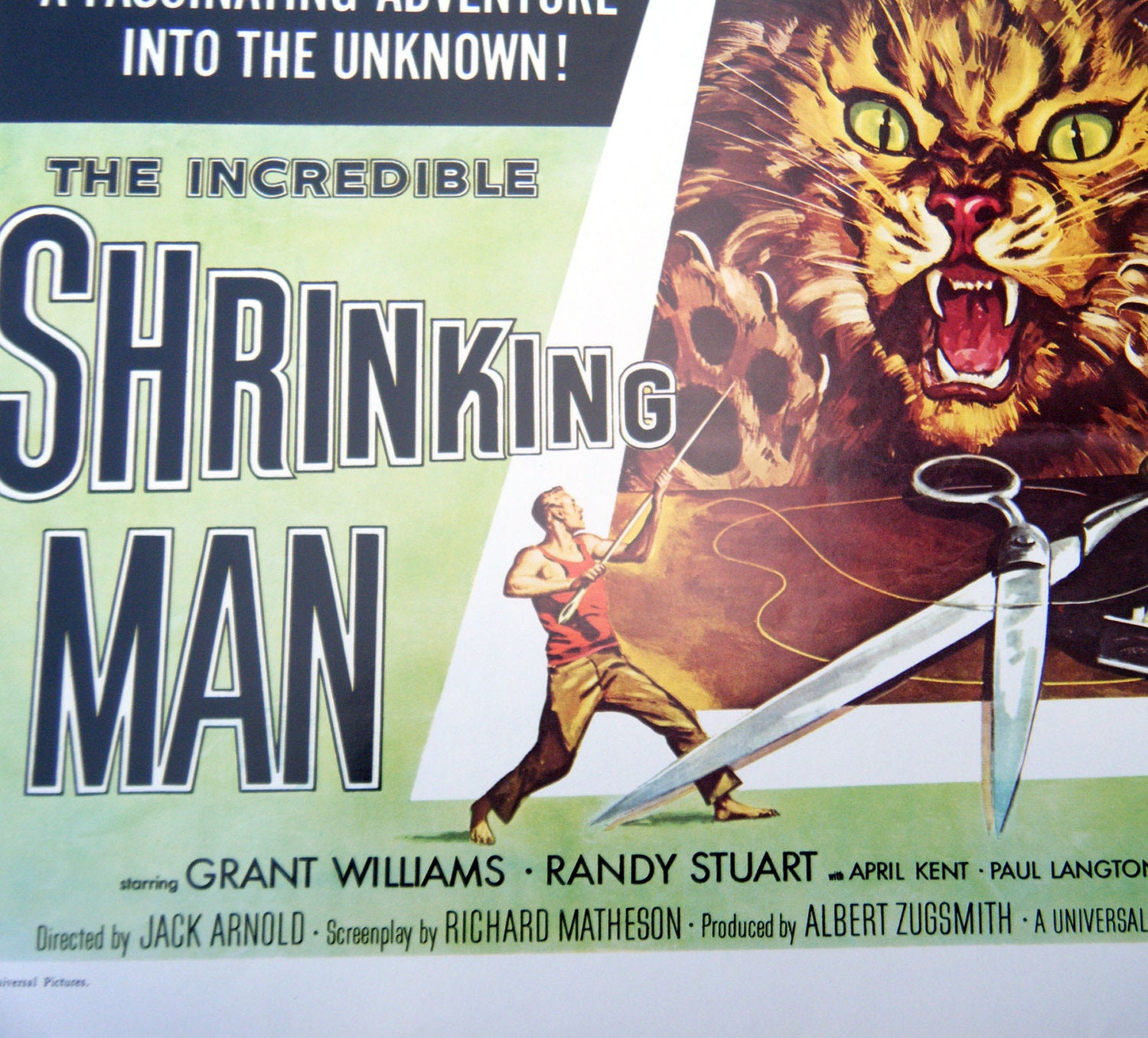 The Incredible Shrinking Man Vintage Sci-Fi Movie Poster Book Print 10 x 14 Horror Movie