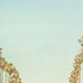 Palm Trees, California Photography, Retro Inspired, fpoe, Sky, Blue, Green, Wall Decor - Forever California