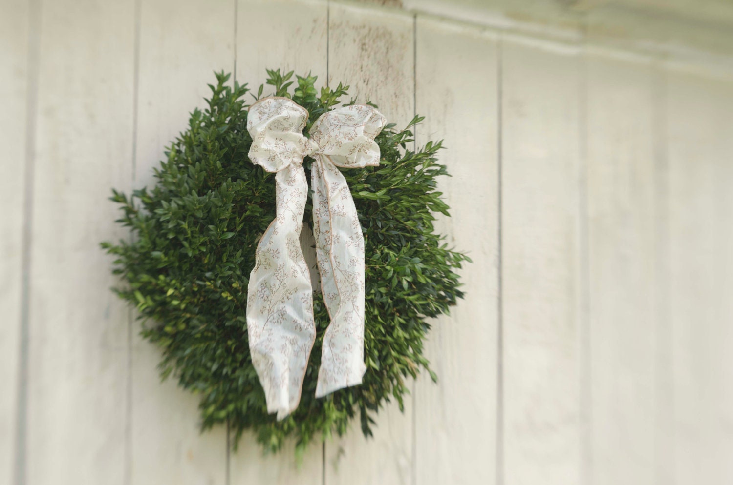 Fresh Virginia Boxwood Wreath, 24 Inch wreath, Fresh wreath, Large wreath, large boxwood wreath, large fresh wreath