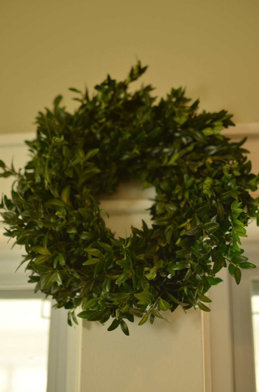 Fresh 10" Inch Boxwood Wreath, easter centerpiece wreath, small wreath, garden party, spring centerpiece, summer centerpiece