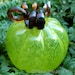 Small Halloween glass Pumpkin - Translucent Lime Green with Gold brown stem - glass garden art