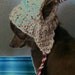 Ear flap Dog hat