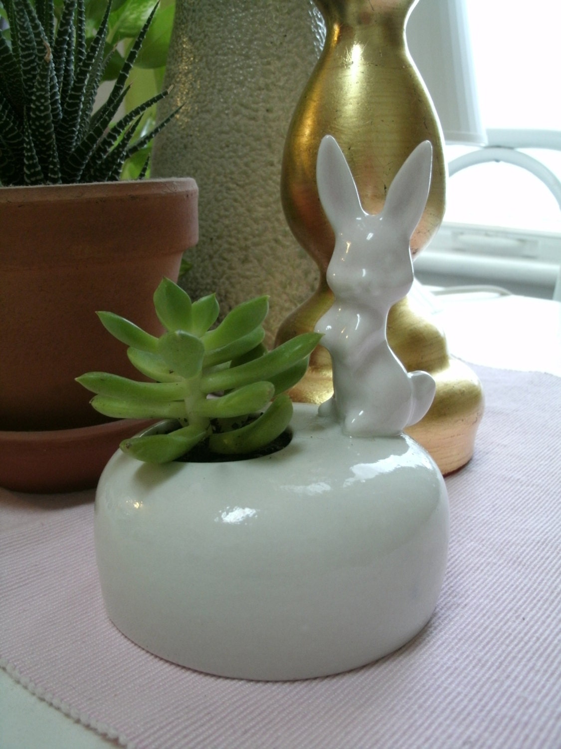 BUNNY CACTUS PLANTER - wesleyharvey