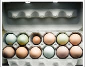 Food photography - Farm Fresh - 8x10 kitchen art print - one dozen organic free-range eggs photo Farmers market shabby chic