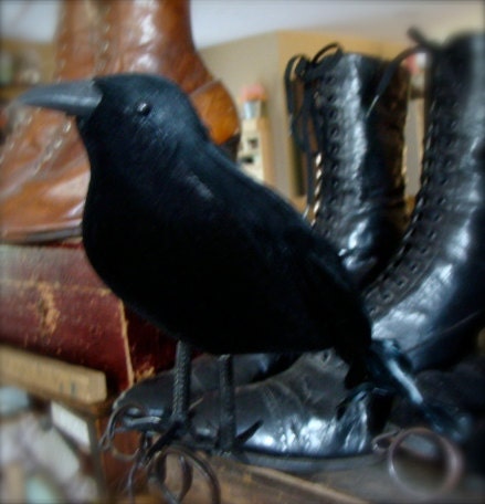 Gothic Raven Black Bird One Large CrEepY Old Black Crow