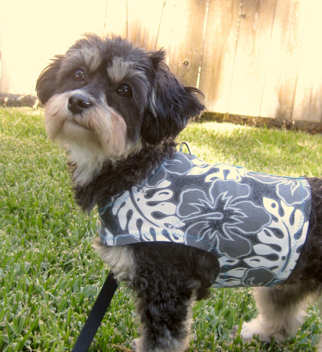 handmade Dog harness Black White Turquoise