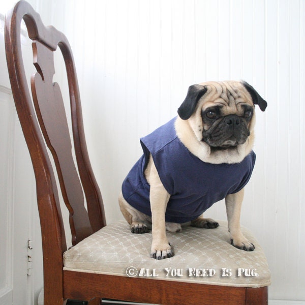 Dog Tee- Upcycled Batman Dog Tshirt - One of a Kind