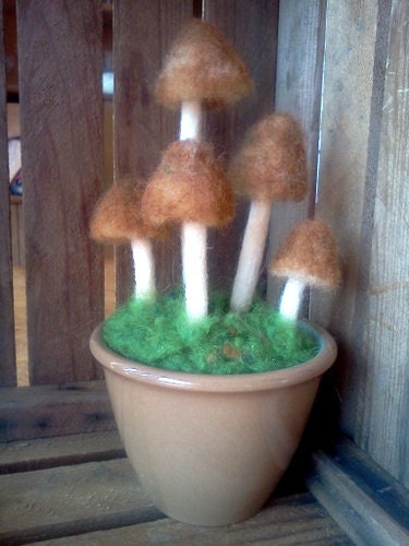Little Pot O' Mushrooms