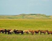 Scatter Butte