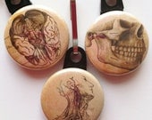 Vintage Anatomy Zipper Pulls- 3 Piece Set- Brains and Skulls