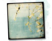 Printemps sur fond bleu - 8x8 Fine Art Print - Nature Photography - Blue Yellow White TTV - Say It With Flowers - TFTeam - Flower Photograph