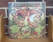 RECORD ALBUM // Morning Dance // by Spyro Gyra 1979