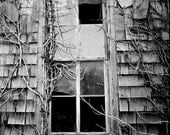 Forgotten Window  (8x10 print)