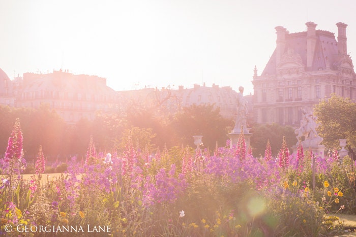Paris Photography, Sunrise in The Tuileries, Flower Garden, French Fine Art Travel Photograph, Wall Decor