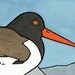 American Oystercatcher - Colorful Shoreline Illustration 5x7