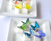 Itsy Bitsy Mini Edible Butterflies - Rainbow Assortment set of 48 - for Cake Decorating and Cupcake Toppers