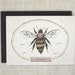 Love / Anniversary Card - Bee's Knees