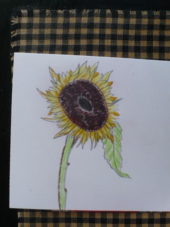 Sunflower Note Card Set, Original Artwork, Flower